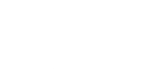N Dimensional Games L.L.C.
